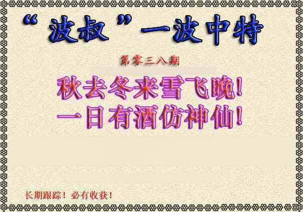 038期波叔一波中特[图]